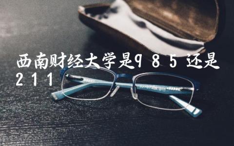 西南财经大学是985还是211