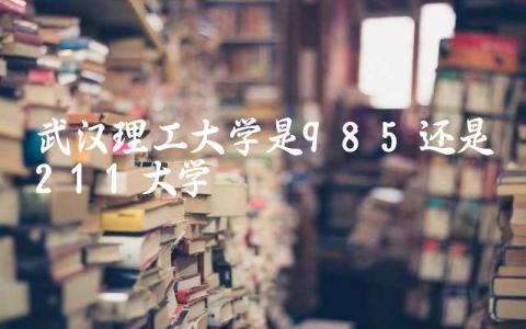 武汉理工大学是985还是211大学