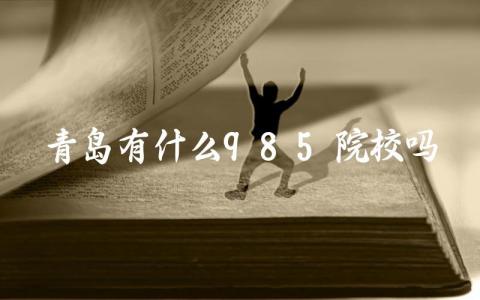 青岛有什么985院校吗