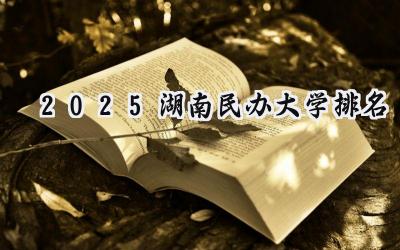 2025湖南民办大学排名