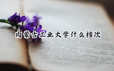 内蒙古工业大学什么档次