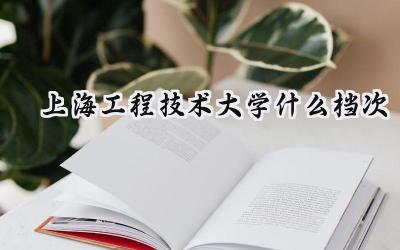 上海工程技术大学什么档次