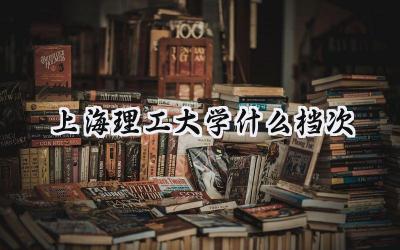 上海理工大学什么档次