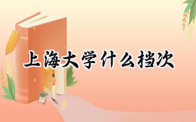 上海大学什么档次