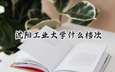 沈阳工业大学什么档次