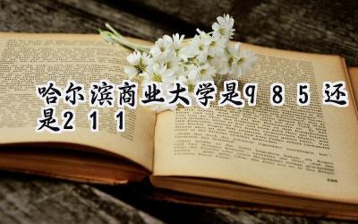 哈尔滨商业大学是985还是211