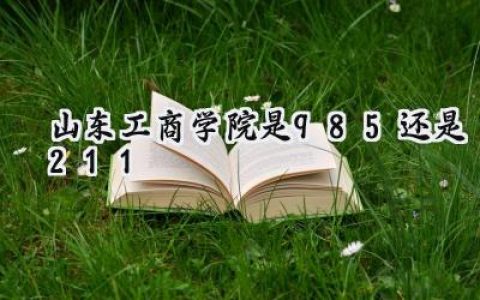 山东工商学院是985还是211