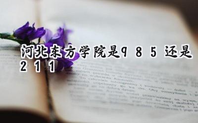 河北东方学院是985还是211