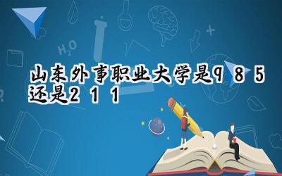 山东外事职业大学是985还是211