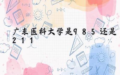 广东医科大学是985还是211