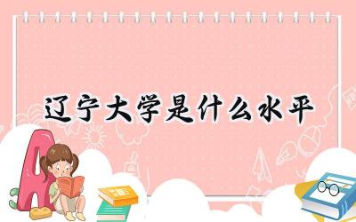 辽宁大学是什么水平