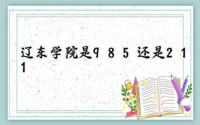 辽东学院是985还是211