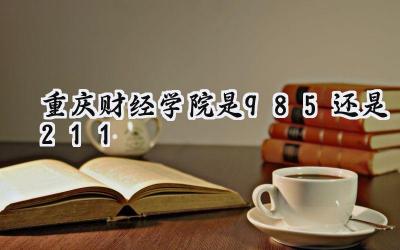 重庆财经学院是985还是211