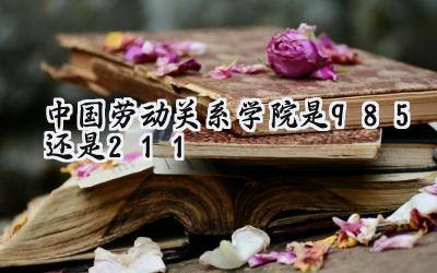 中国劳动关系学院是985还是211