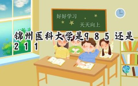 锦州医科大学是985还是211